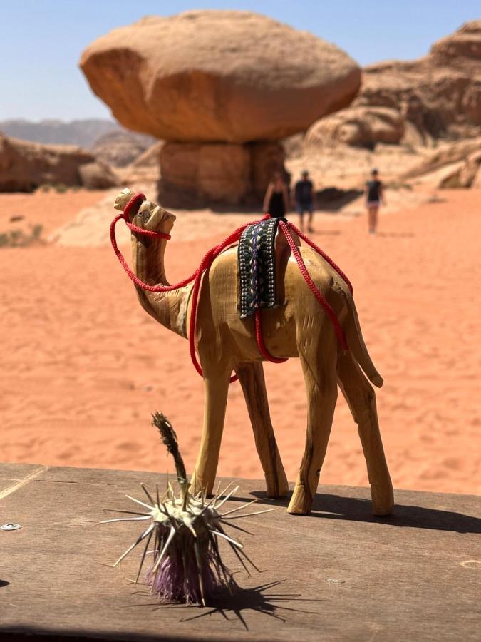Wadi Rum Oryx Hostel & Tours Экстерьер фото